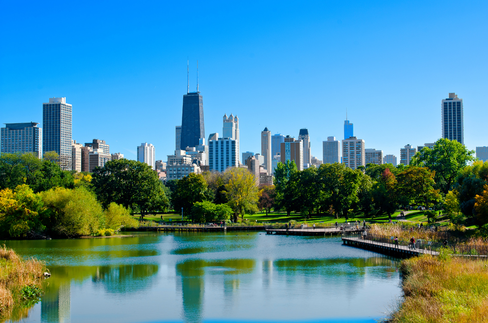 Chicago - Galeria 5