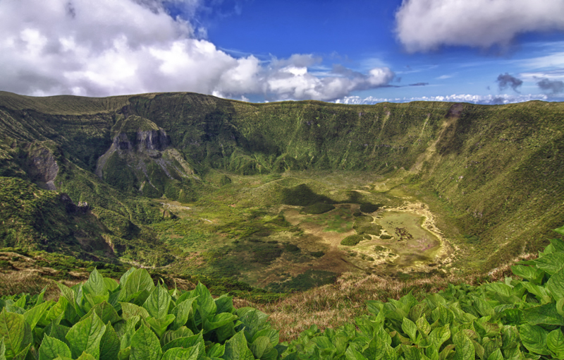 Faial - Galeria 10